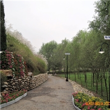 供应4米太阳能路灯，庭院灯