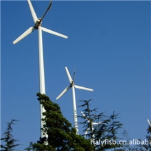 新型3000w并网型风力发电机/高效率外转子风力发电机