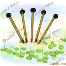 供应测水温度计,水池温度计，厂家直销，质量保证，