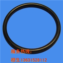 澳门加工阀门厂专用AS568标准防静电氟素橡胶（FPM）O型圈