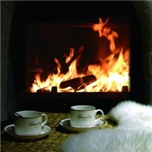 耐高温壁炉玻璃/肖特高硼硅玻璃