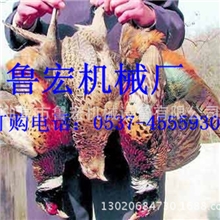 照野鸡的机子野鸡捕猎机效果好抓捕百分百