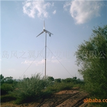 供应FZY600小型家用风力发电机