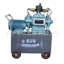 厂家直供高质量优质4D-SY系列电动试压泵