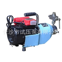 热销大量品种规格齐全价格合理优质3D-SY543/4微型电动工试压泵