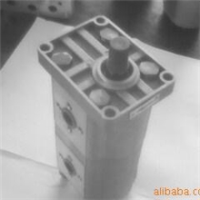 【供应】CBN双联齿轮泵容积效率高寿命长替代进口齿轮泵