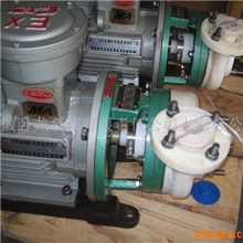 全四氟泵.四氟泵.全氟泵.氟泵.FSB四氟泵(图)