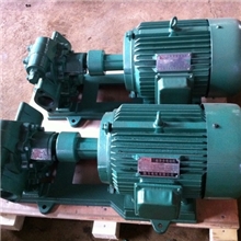 KCB-960、2CY-60/3-2型齿轮式抽输油泵/齿轮油泵/齿轮泵.