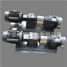 出售宁波变频式万用转子泵高粘度转子泵