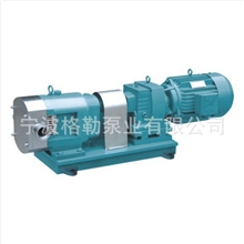 不锈钢304石油化工凸轮双转子泵