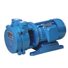 直联水环式真空泵SK-0.8