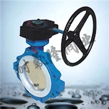 衬氟蝶阀D371F46对夹蝶阀法兰蝶阀蝶阀阀门