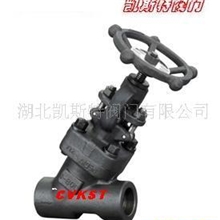 供应Y型锻钢截止阀