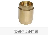 黄铜立式止回阀/玉环铜球阀