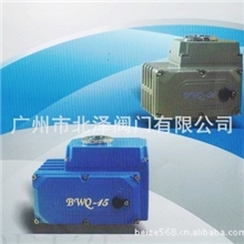 安全精小型电动头北泽BWQ电动头