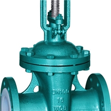 Z41F46-16C衬氟闸阀衬F46闸阀衬氟阀门chenfufamenzhafa