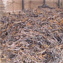 厂家热销经营各类规格的废钢