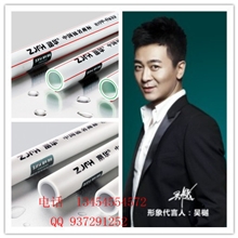 【直销、热卖】PPR管PPR水管PPR热水管ppr管道量大从优