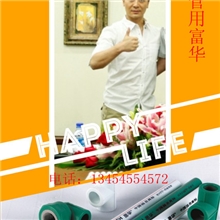 【供应】PPR管材PPR水管铝塑PPR管PPR家装管厂家直销