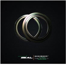 带内环不锈钢缠绕垫片法兰垫片