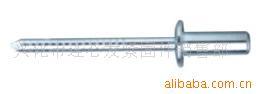 便宜封闭型不锈钢抽芯铆钉4.8*10封闭型扁圆头抽芯铆钉