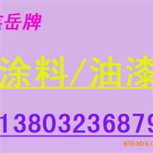 IPN8710-2C--管道防腐涂料油漆