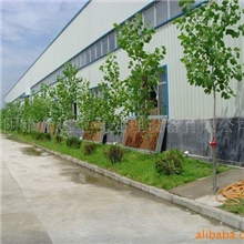 厂家直销供应湿帘墙,水帘,水帘墙,湿帘