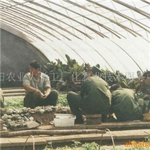 厂家供应温室蔬菜种植用防水卡槽铝卡槽卡膜槽