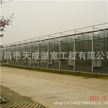玻璃连体温室智能温室育苗温室玻璃温室厂家直销