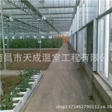 四川北川高科技农业示范园玻璃温室玻璃温室观光温室