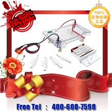 C71-SPFT型水平电泳槽|水平电泳仪|伯乐电泳槽品质|君意上海总代