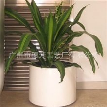 批发供应玻璃钢龙缸、套盆、树脂纤维盆、增强塑料盆、透光花盆