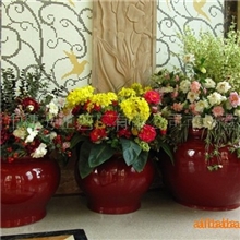 厂家供应商场大花盆,酒店组合圆形树脂纤维花盆、圆形玻璃钢花盆