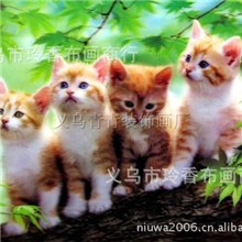 厂家直销高清立体画，四只小花猫，3D立体画1083