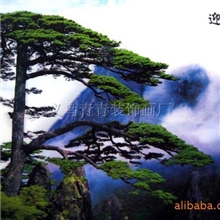 PET立体画批发高清三维立体画立体画厂家三d立体画装饰画2027