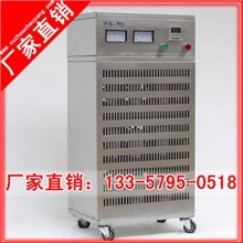 6E12【十年老厂家直销批发】30克臭氧发生器移动式