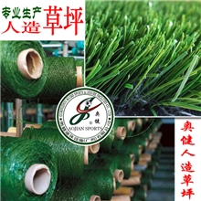 人造草坪厂家:足球场人造草皮、仿真人造草坪、塑料假人造草皮