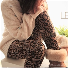 秋冬季韩版女装新款女式打底裤批发女士磨毛加厚弹力九分裤