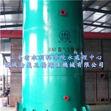 氨氮吹脱塔、BAF曝气生物滤床