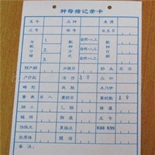 供应母猪记录卡产床门扣产床碰锁兽用器械养殖设备养猪设备