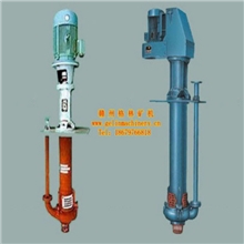 100RV-SP液下渣浆泵，液下泵厂家