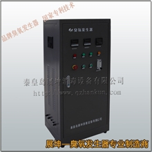 肉制品加工臭氧灭菌器专业肉制品消毒灭菌肉制品消毒