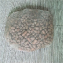 【淘气宝】家庭阳台种菜专用基质