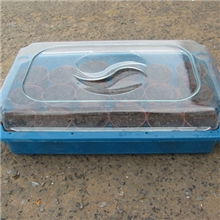 【育苗箱】家庭种菜育苗工具保温保湿