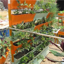 【家庭阳台菜园】墙式智能组合花盆自动浇水