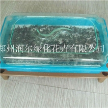 【家庭阳台菜园】立体芽菜园/单层/可移动/阳台种菜设备