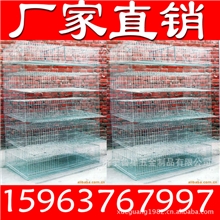 供应鹌鹑养殖笼鹌鹑笼子(图)