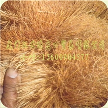 供应椰丝（白色和棕色用于制刷子和扫把）
