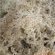 大量销售高原水苔