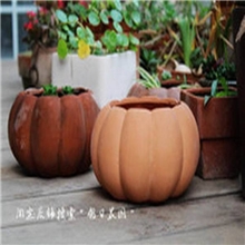 供应南瓜盆陶瓷花盆XX107红陶花盆多肉盆红陶厂家